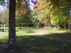 arnold park lawn