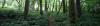 bradis natural area