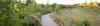 Mary's River path through nature