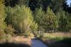 MLK Trail
